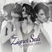 Gelemiyorum Yanına - Ziynet Sali