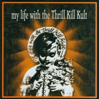 Shock Of Point 6 - My Life With The Thrill Kill Kult