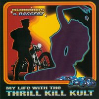 Out 4 The Kill - My Life With The Thrill Kill Kult