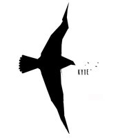 They Won't Sleep - KYTE
