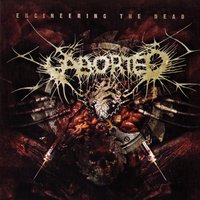 Suffer The Children - Aborted