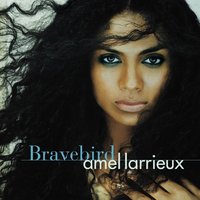 All I Got - Amel Larrieux