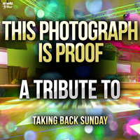 This Photograph Is Proof - Ameritz Top Tributes