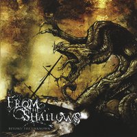 From The Shallows