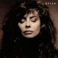 In piedi su uno specchio - ALICE