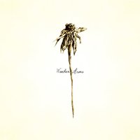Big Bird in a Small Cage - Patrick Watson