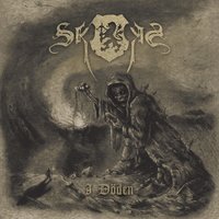 Griftenatt - Skogen