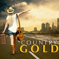 Are You from Dixie - Jerry Reed