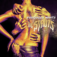 Black Swan - The Struts