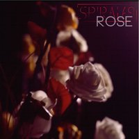 Rose - Spiral69