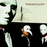 Your Name Is Snake Anthony - Medeski Martin & Wood