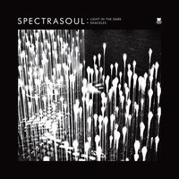 Light In The Dark - SpectraSoul, Terri Walker