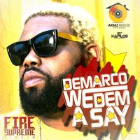 We Dem A Say - Demarco
