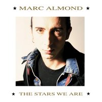Something's Gotten Hold Of My Heart - Marc Almond, Gene Pitney