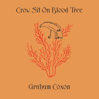 You Never Will Be - Graham Coxon