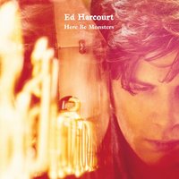 Birds Fly Backwards - Ed Harcourt