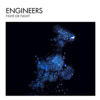 Fight or Flight - Engineers