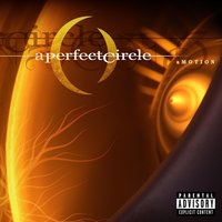 Hollow - A Perfect Circle, Paz Lenchantin