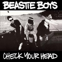 Drunken Praying Mantis Style - Beastie Boys