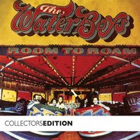 In Search Of A Rose (Full Band) - The Waterboys