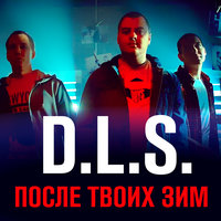 После твоих зим - D.L.S.