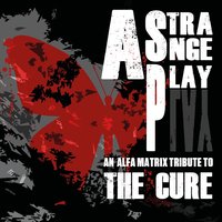 A Strange Day - Mondtraüme, Aiboforcen