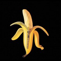 Welcome To The Monkey House - The Dandy Warhols
