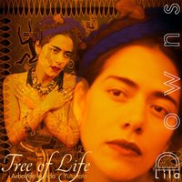 Nueve Hierba - Lila Downs