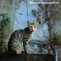 Wise - Alpha