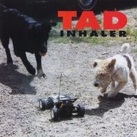 Tad