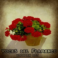 Siete Vidas - Spain, Antonio Carmona