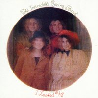The Incredible String Band
