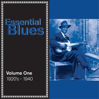 If I Had My Way I'd Tear This Building Down - Blind Willie Johnson