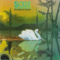The Party Song - Slave