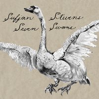 The Transfiguration - Sufjan Stevens