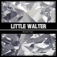 Just to Be with You - Little Walter, Muddy Waters