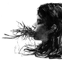 The Former - Parenthetical Girls