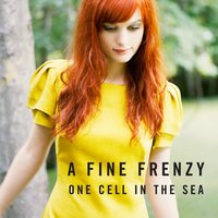 Lifesize - A Fine Frenzy