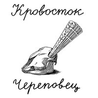 Череповец - Кровосток