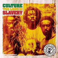 Stop The Fussing And Fighting - Culture