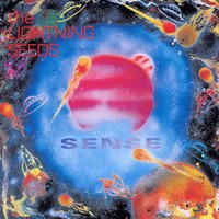 Where Flowers Fade - The Lightning Seeds