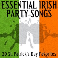 Whiskey in the Jar - The Ferrymen