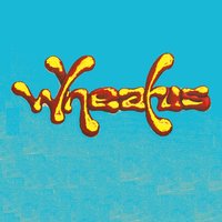 Lemonade - Wheatus