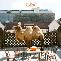 I'll Fight - Wilco