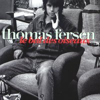 Tout, tout, tout et plus rien - Thomas Fersen