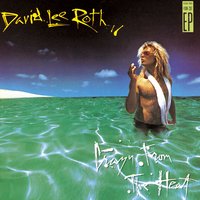 Just a Gigolo / I Ain't Got Nobody - David Lee Roth