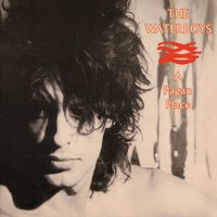 The Madness Is Here Again - The Waterboys