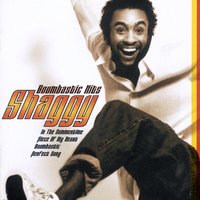 My Dream - Shaggy
