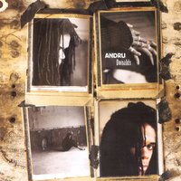 Cryin' In The Rain - Andru Donalds