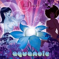 The Last One - Aquanote